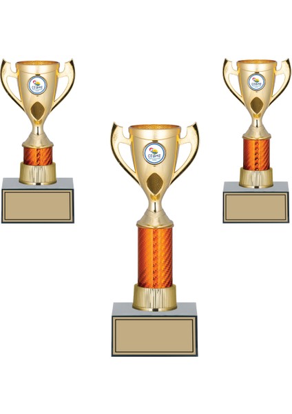 Kişiye Özel Kupa Takımı-Ödül Kupası-Turnuva Kupası 3'lü Takım GN172
