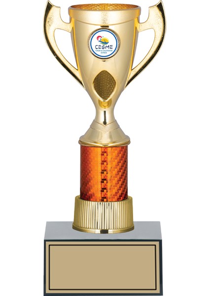 Futbol Kupası Ödül Kupası Tören Kupası 26 cm GN172