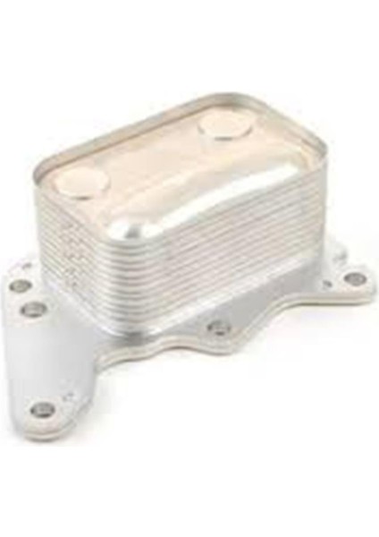 Pıerburg 7.09269.40.0-YAG Sogutucu 2.0 Tdı Transporter T5 03L117021B