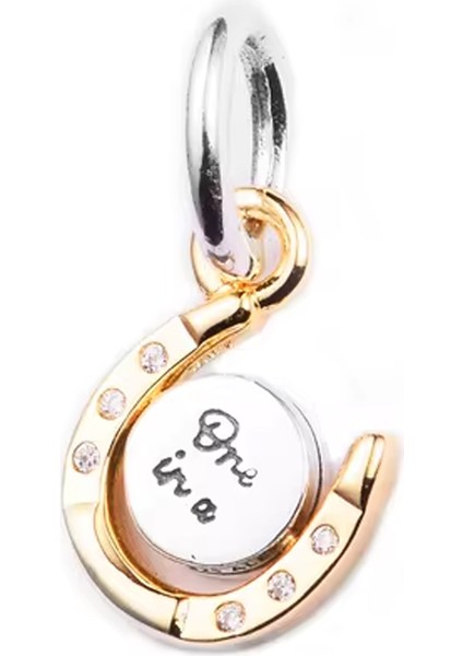 Milyonda Birsin Yazılı Sallantılı Charm