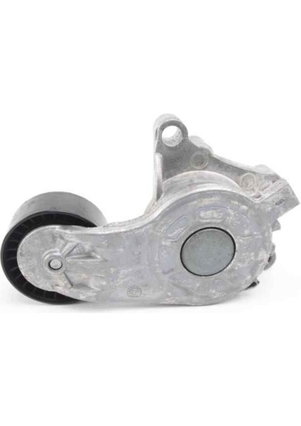 T39374-ALTERNATOR Gergı Rulmanı Komple 1.6d Com Bo E 19 9807720180