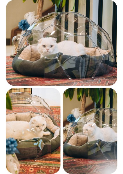 Kedi & Köpek Dome Evi - Fanus Yuva fiyatları