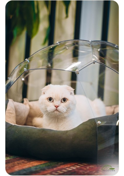 Kedi & Köpek Dome Evi - Fanus Yuva modelleri