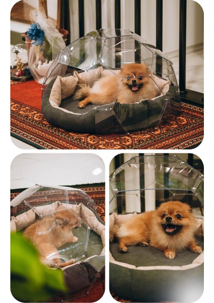 Kedi & Köpek Dome Evi - Fanus Yuva fırsatları