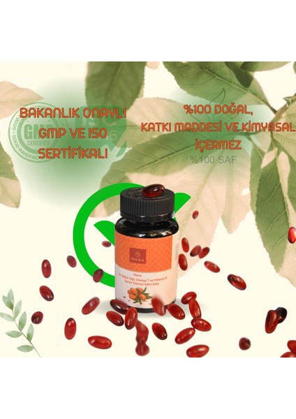 3 Adet Kır Iğdesi Omega 7 500MG 60 Kapsül