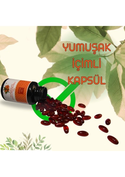 3 Adet Kır Iğdesi Omega 7 500MG 60 Kapsül