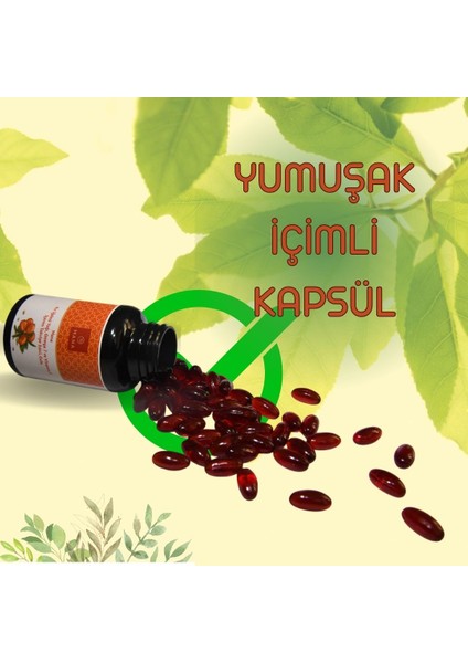 2 Adet Kır Iğdesi Omega 7 500 Mg 60 Kapsül