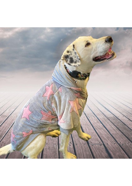 Biggie Orta-Büyük Irk Köpek Pofuduk Sweatshirt