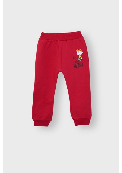 Peanuts Friends Bebek Eşofman Takımı (Aslan Desenli) 1-3 Yaş modelleri