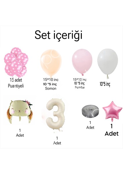 Pembe Çiçek Konsept Tavşanlı Yaş Seçenekli Doğum Günü Özel Gün Yeni Doğan Parti Kutlama Seti fiyatları