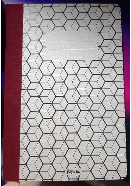 Colornote Papirus Retro Ciltli Sert Kapak 96 Yaprak Çizgili 16X23 Defter