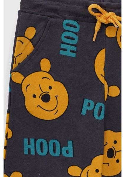 Winnie The Pooh Desenli 3 Iplik Eşofman Altı fiyatları
