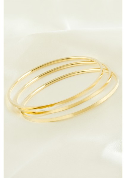 3 Adet Ajda Lüks Çelik Bilezik 2 mm