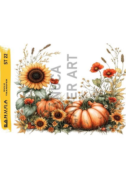 Sulu Transfer Banuca-St-22 25×35 cm