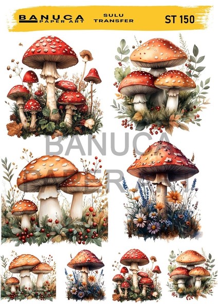 Sulu Transfer BANUCA-ST-150 25×35 cm