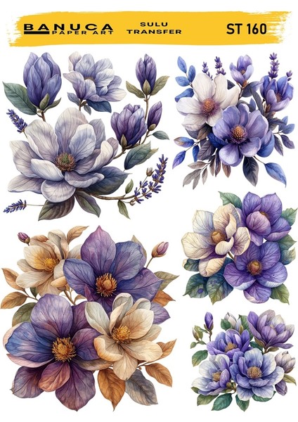 Sulu Transfer BANUCA-ST-160 25×35 cm