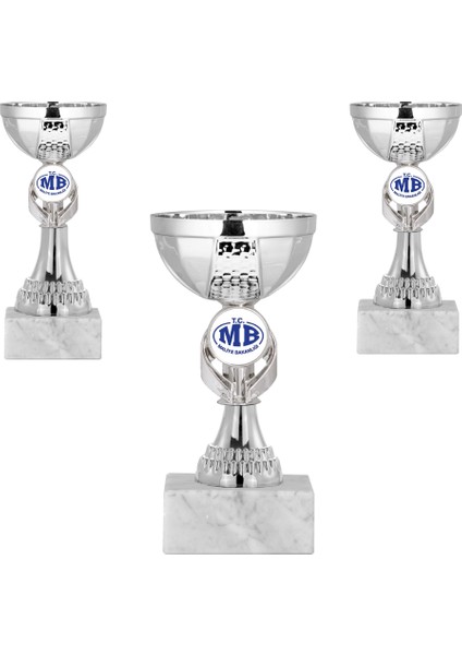 Kişiye Özel Futbol Kupa Takımı-Ödül Kupası-Turnuva Kupası 3'lü Takım ECO-008
