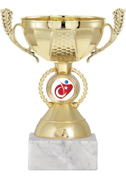 Kişiye Özel Futbol Kupası Ödül Kupası Tören Kupası 17 cm ECO-010