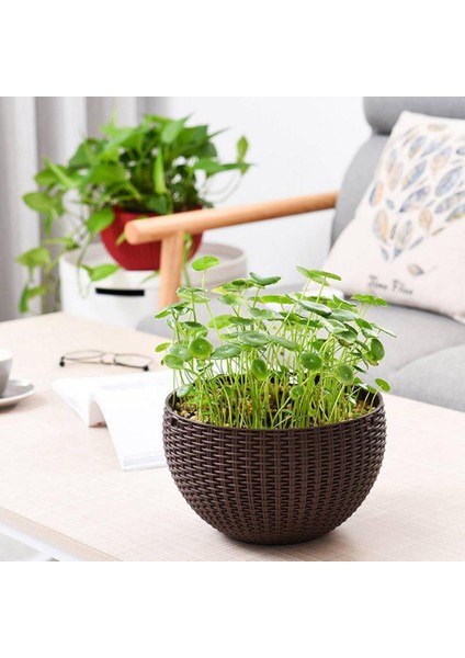 Çiçek Isı Askılı Sepet Kullanıma Ayarlanabilir (Yurt Dışından) fırsatları