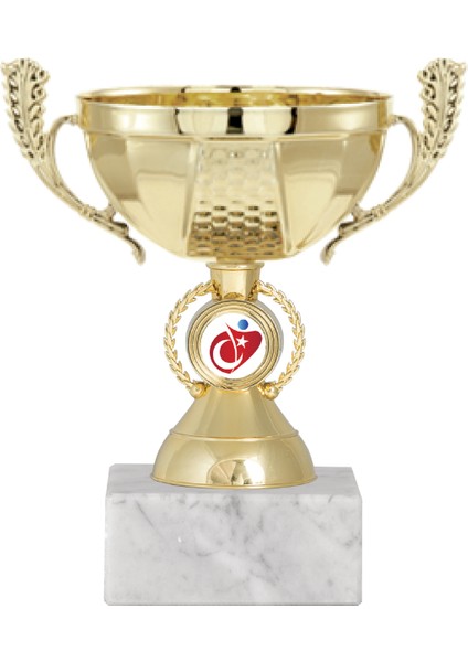 Kişiye Özel Futbol Kupası Ödül Kupası Tören Kupası 15 cm ECO-010