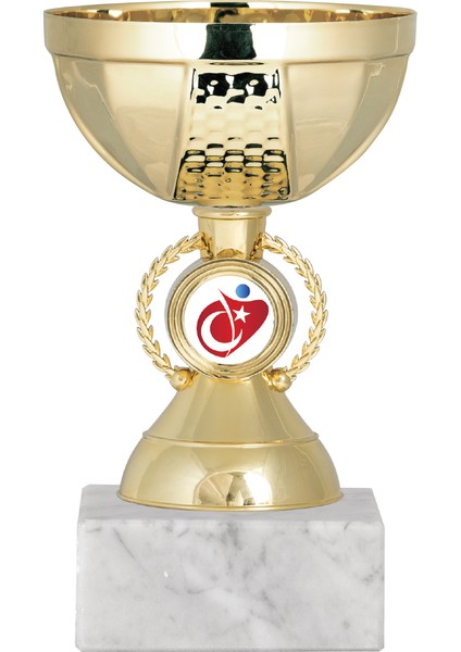 Kişiye Özel Futbol Kupa Takımı-Ödül Kupası-Turnuva Kupası 3'lü Takım ECO-009 modelleri