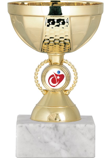 Kişiye Özel Futbol Kupa Takımı-Ödül Kupası-Turnuva Kupası 3'lü Takım ECO-009 fırsatları