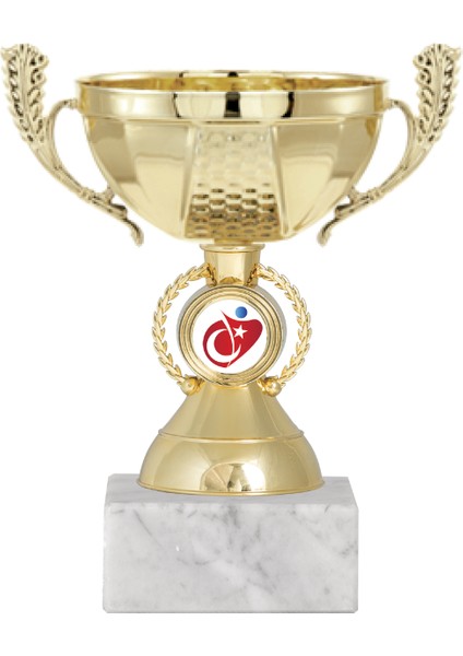 Kişiye Özel Futbol Kupası Ödül Kupası Tören Kupası 16 cm ECO-010
