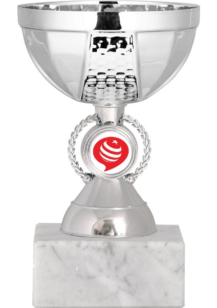 Kişiye Özel Futbol Kupası Ödül Kupası Tören Kupası 13 cm ECO-011