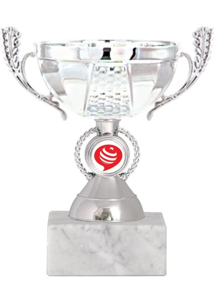 Kişiye Özel Futbol Kupası Ödül Kupası Tören Kupası 15 cm ECO-012