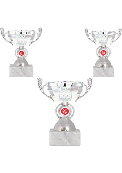 Kişiye Özel Futbol Kupa Takımı-Ödül Kupası-Turnuva Kupası 3'lü Takım ECO-012