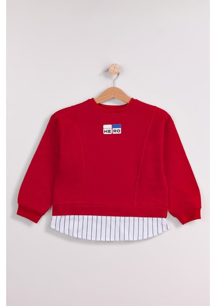 Erkek Çocuk 2'li Paket Basic Sweatshirt modelleri