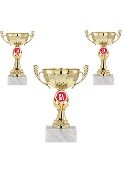 Kişiye Özel Futbol Kupa Takımı-Ödül Kupası-Turnuva Kupası 3'lü Takım ECO-014