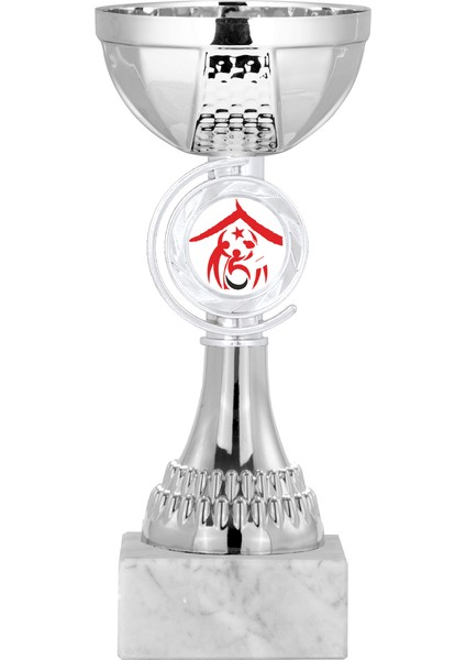 Kişiye Özel Futbol Kupası Ödül Kupası Tören Kupası 19 cm ECO-015
