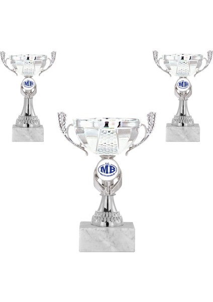 Kişiye Özel Futbol Kupa Takımı-Ödül Kupası-Turnuva Kupası 3'lü Takım ECO-016