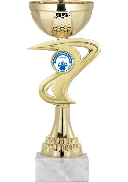 Kişiye Özel Futbol Kupası Ödül Kupası Tören Kupası 22 cm ECO-017