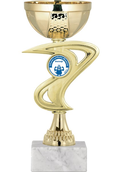 Kişiye Özel Futbol Kupası Ödül Kupası Tören Kupası 20 cm ECO-017