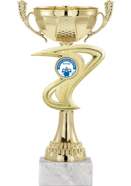 Kişiye Özel Futbol Kupası Ödül Kupası Tören Kupası 24 cm ECO-018