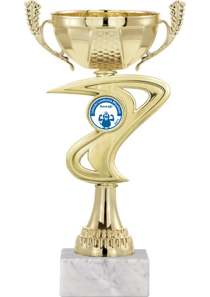 Kişiye Özel Futbol Kupası Ödül Kupası Tören Kupası 23 cm ECO-018