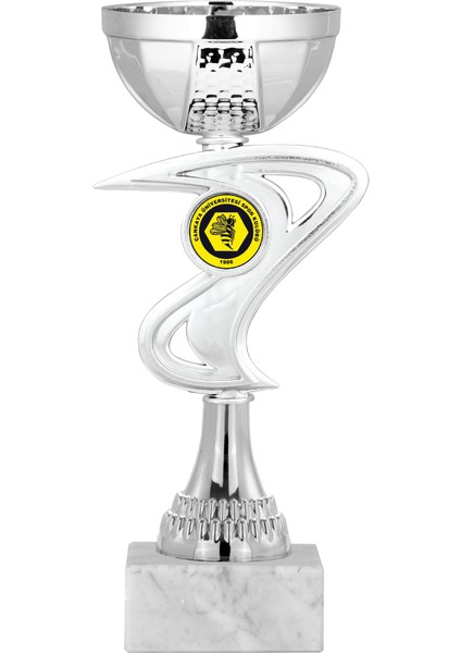 Kişiye Özel Futbol Kupası Ödül Kupası Tören Kupası 21 cm ECO-019