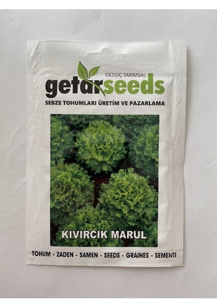 Kıvırcık Marul ( Çoklu Tohum ) - 5 Gram