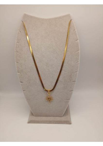 Çelik Kolye+ Zirkon Charm Gold