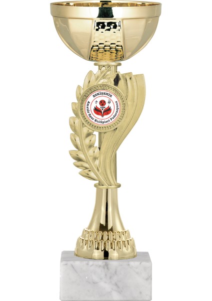 Kişiye Özel Futbol Kupası Ödül Kupası Tören Kupası 21 cm ECO-021