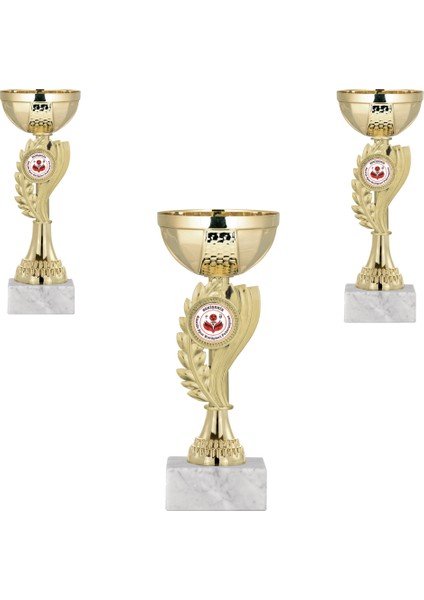 Kişiye Özel Futbol Kupa Takımı-Ödül Kupası-Turnuva Kupası-Kupa Seti 3'lü Takım ECO-021