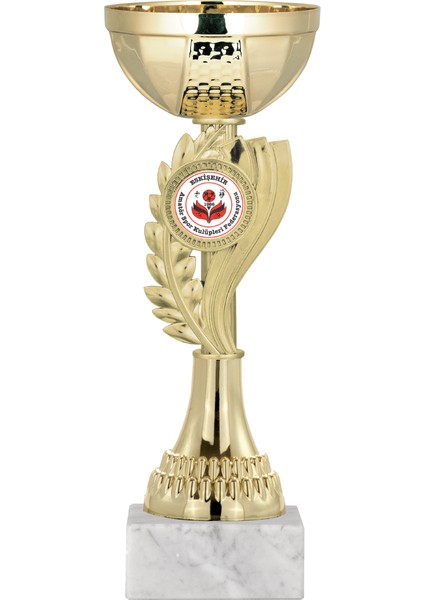 Kişiye Özel Futbol Kupası Ödül Kupası Tören Kupası 22 cm ECO-021