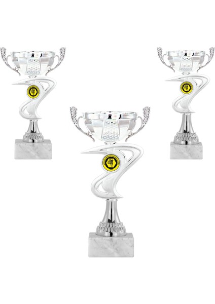 Kişiye Özel Futbol Kupa Takımı-Ödül Kupası-Turnuva Kupası-Kupa Seti 3'lü Takım ECO-020