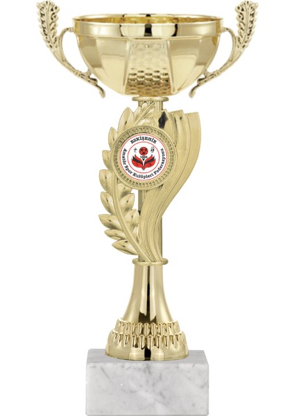 Kişiye Özel Futbol Kupası Ödül Kupası Tören Kupası 23 cm ECO-022