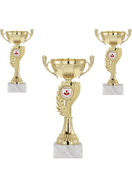 Kişiye Özel Futbol Kupa Takımı-Ödül Kupası-Turnuva Kupası-Kupa Seti 3'lü Takım ECO-022