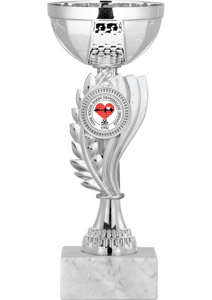 Kişiye Özel Futbol Kupası Ödül Kupası Tören Kupası 20 cm ECO-023