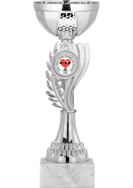 Kişiye Özel Futbol Kupası Ödül Kupası Tören Kupası 22 cm ECO-023