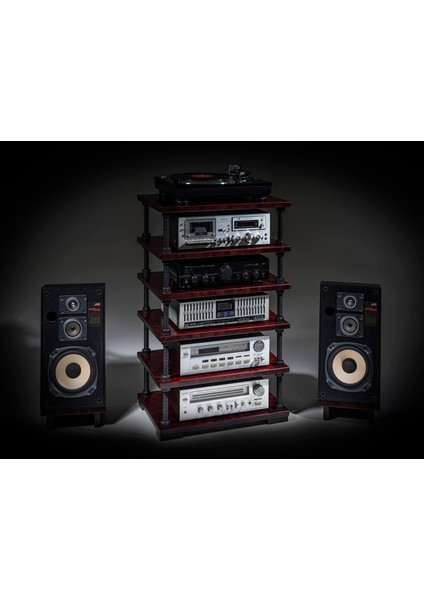 Ayarlanabilir Raflı Plak ve Pikap Standı - Hifi Stereo Kabin - Şık ve Işlevsel Ses Sistemi Rafı-3